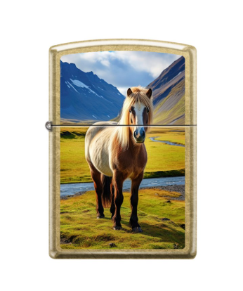 ZIPPO - Horse Street Brass